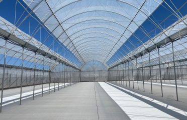 Haygrove Tunnels