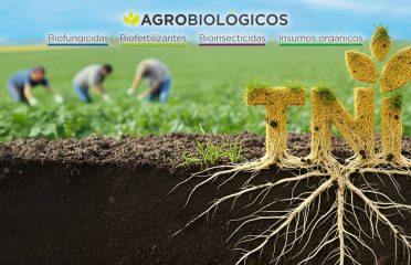 Tecnologías Naturales Internacional